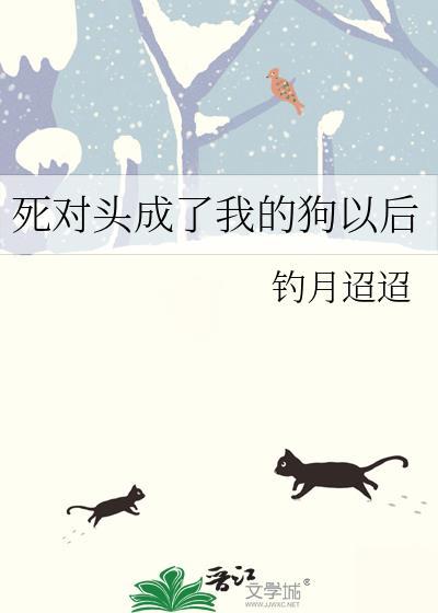 已婚关系封面
