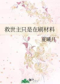 首辅夫人是戒尺封面
