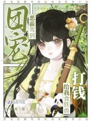 空战之王封面