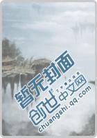 借一场天色爱你——极光的征途封面