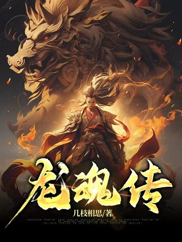 掌家婢封面