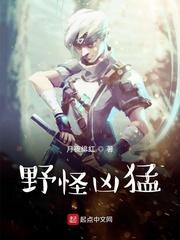 一嫁三夫封面