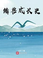 京夜求荣封面