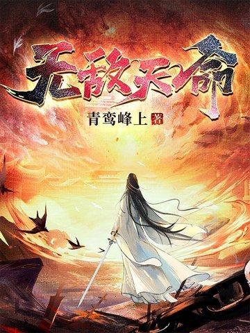 我的钢针能升级封面