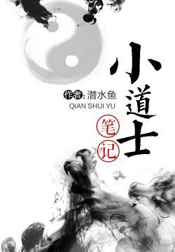 弃世武圣封面