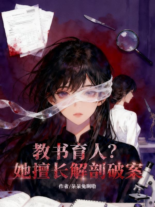 宝可梦亚圣：去吧，到地平线封面