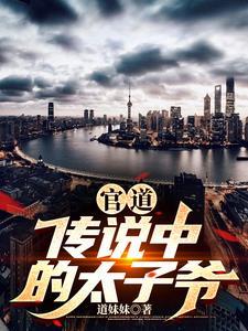 画皮都市封面