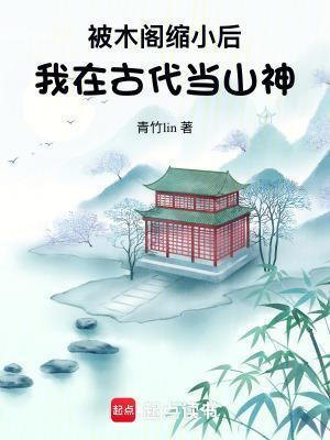 四合院尽情活，潇洒活封面
