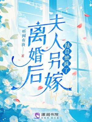 综穿之莲花游记封面