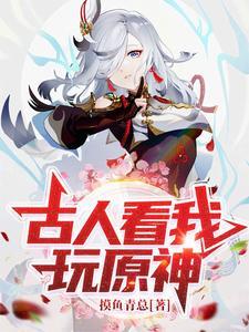 五段锦传奇封面