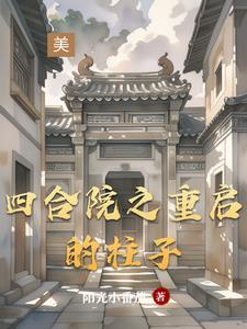 理想的天空岛封面