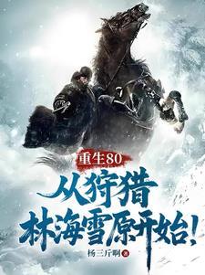 你一个牧师，谁告诉你给怪加血的封面