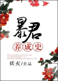暗卫还是老婆