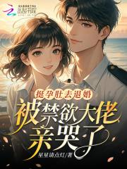 万历新明TXT