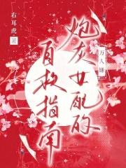 甩掉渣男后，被全球大佬集体倒追了