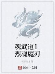 追美攻略