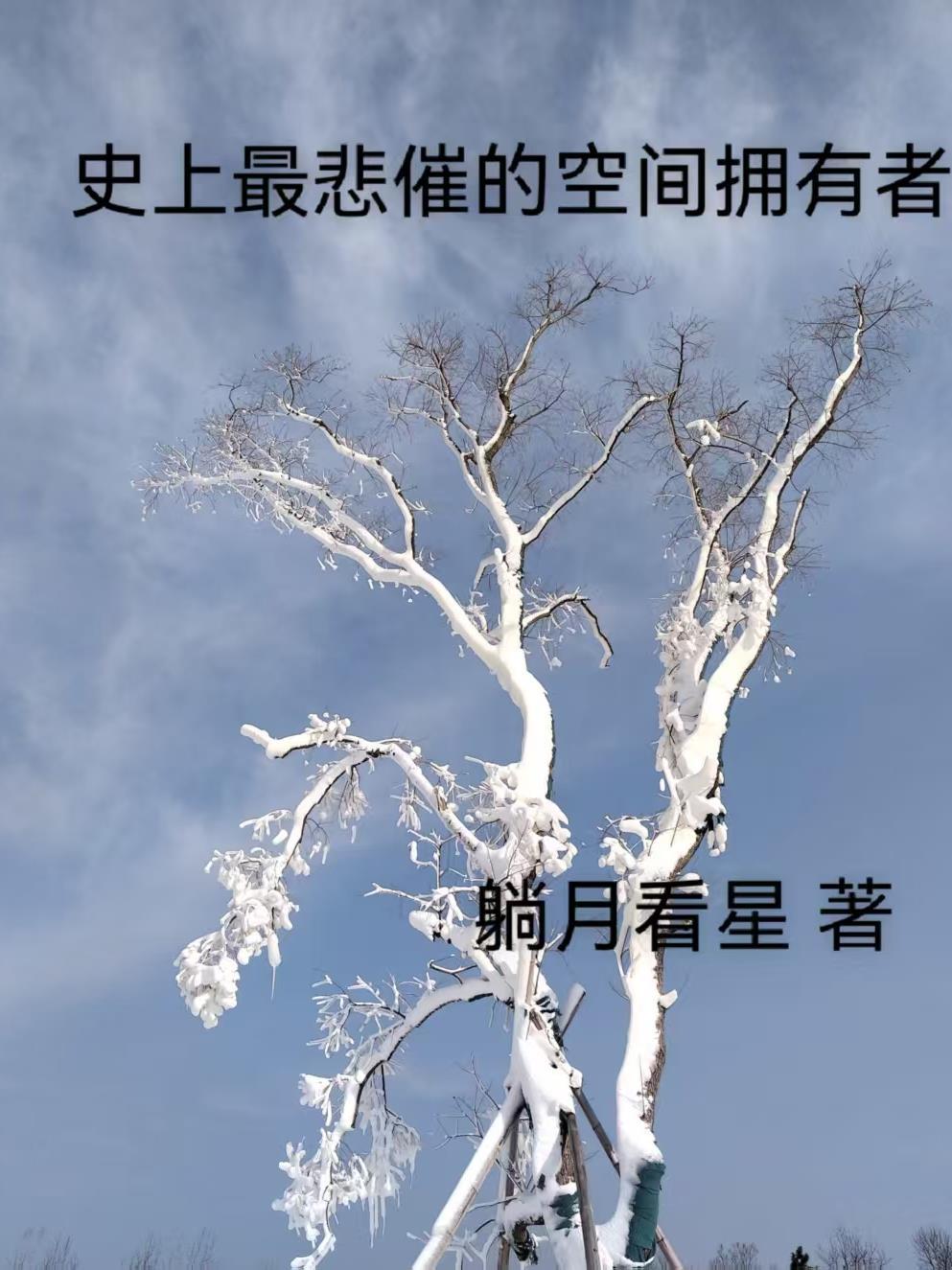 改变命运,从穿越西路军开始