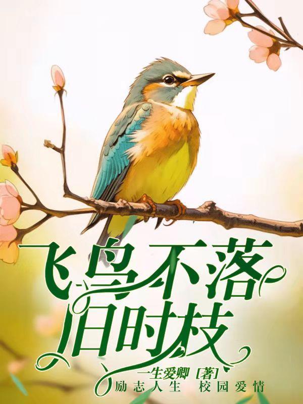 星辰之主 笔趣