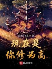 海贼篇章