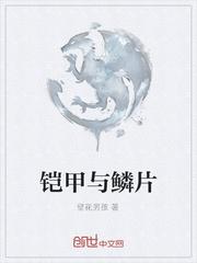 锦衣之下续写