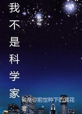 风月朝