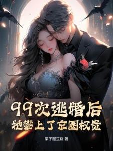 一胎双宝,大佬全球通缉少夫人