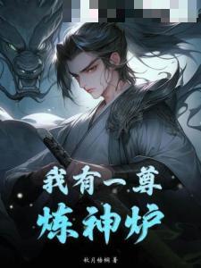 划过夜的流星的新书