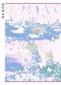 鉴宝财瞳