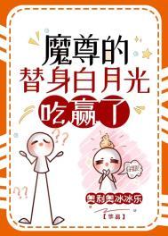 总裁的灰姑娘