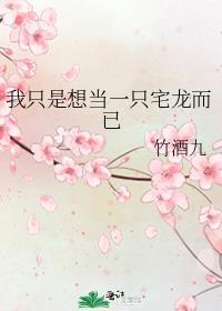 他们的环游之旅