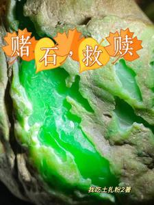 玄学貔貅抱奶瓶，带爸妈港城致富
