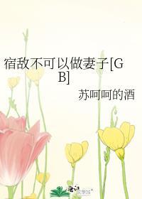 被迫和闪婚老婆组CP