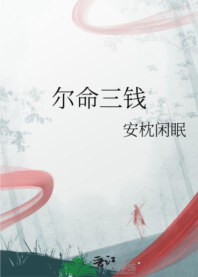 我的翻译官老婆