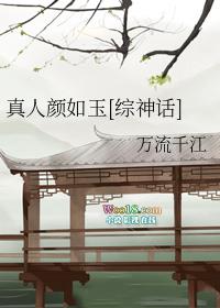 穿书后我成了女帝